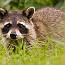 thumbs/IMG_8070.jpg